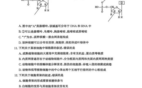 河北省沧衡名校联盟2025-2026学年高一上学期期中考试生物PDF版含解析_2025年12月高一试卷_251218河北省沧衡名校联盟2025-2026学年高一上学期期中考试（全）