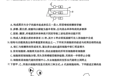 河北省沧衡名校联盟2025-2026学年高一上学期期中考试生物PDF版含解析_2025年12月高一试卷_251218河北省沧衡名校联盟2025-2026学年高一上学期期中考试（全）