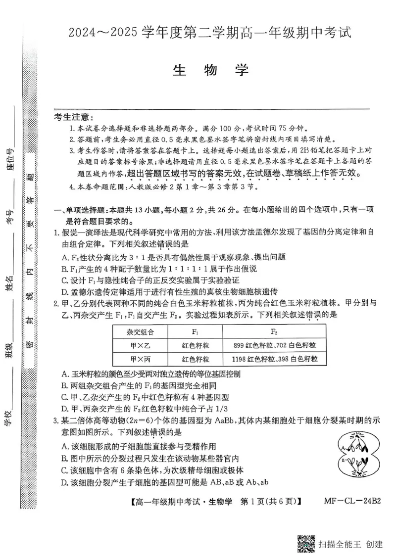 河北省沧州市四县联考2024-2025学年高一下学期4月期中生物试题_2025年04月试卷_0421河北省沧州市四县联考2024-2025学年高一下学期4月期中考试