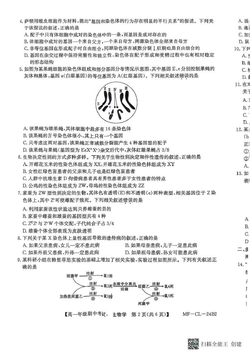 河北省沧州市四县联考2024-2025学年高一下学期4月期中生物试题_2025年04月试卷_0421河北省沧州市四县联考2024-2025学年高一下学期4月期中考试