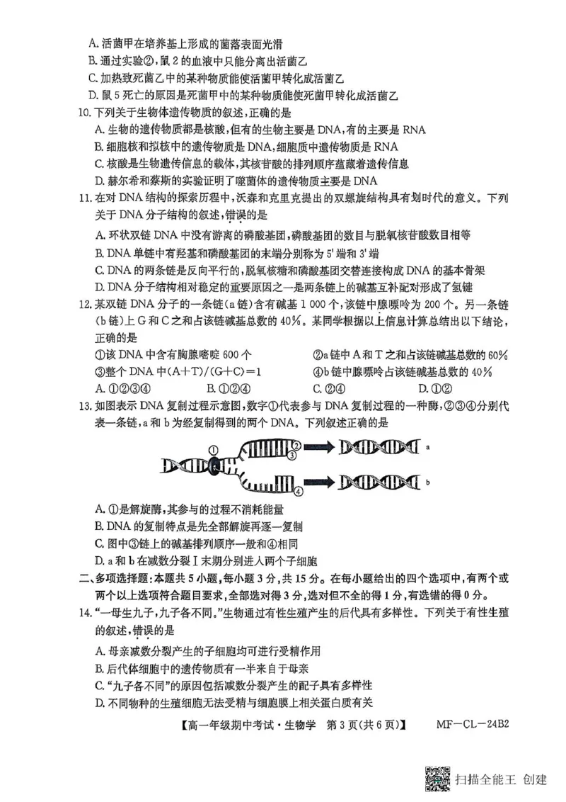 河北省沧州市四县联考2024-2025学年高一下学期4月期中生物试题_2025年04月试卷_0421河北省沧州市四县联考2024-2025学年高一下学期4月期中考试