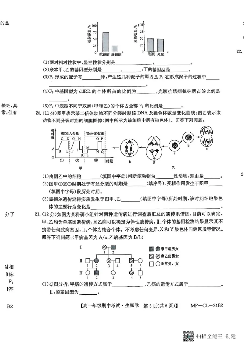 河北省沧州市四县联考2024-2025学年高一下学期4月期中生物试题_2025年04月试卷_0421河北省沧州市四县联考2024-2025学年高一下学期4月期中考试