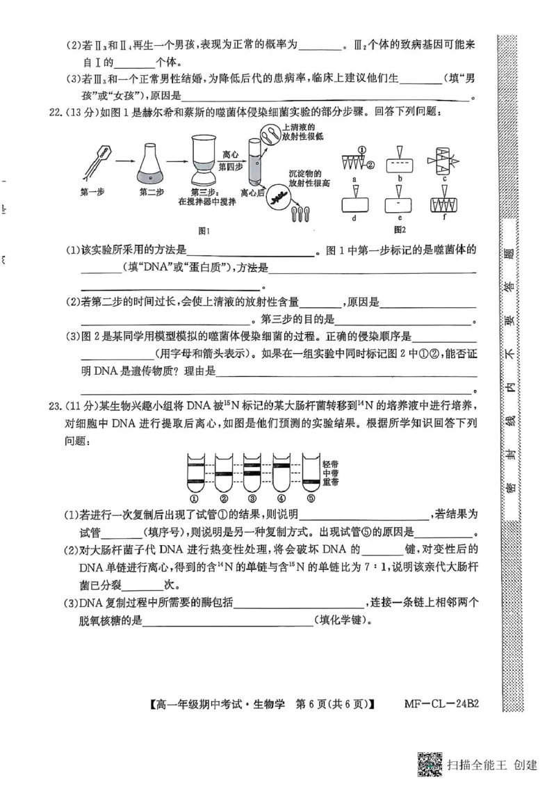 河北省沧州市四县联考2024-2025学年高一下学期4月期中生物试题_2025年04月试卷_0421河北省沧州市四县联考2024-2025学年高一下学期4月期中考试