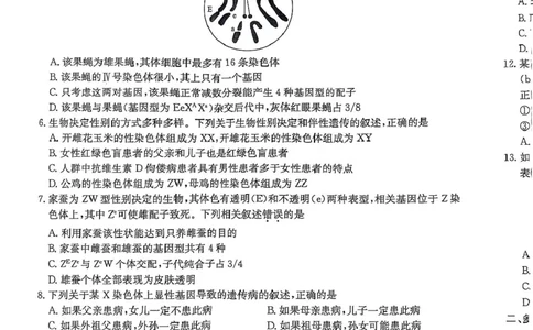 河北省沧州市四县联考2024-2025学年高一下学期4月期中生物试题_2025年04月试卷_0421河北省沧州市四县联考2024-2025学年高一下学期4月期中考试