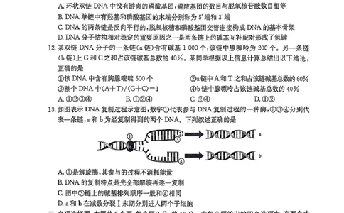 河北省沧州市四县联考2024-2025学年高一下学期4月期中生物试题_2025年04月试卷_0421河北省沧州市四县联考2024-2025学年高一下学期4月期中考试