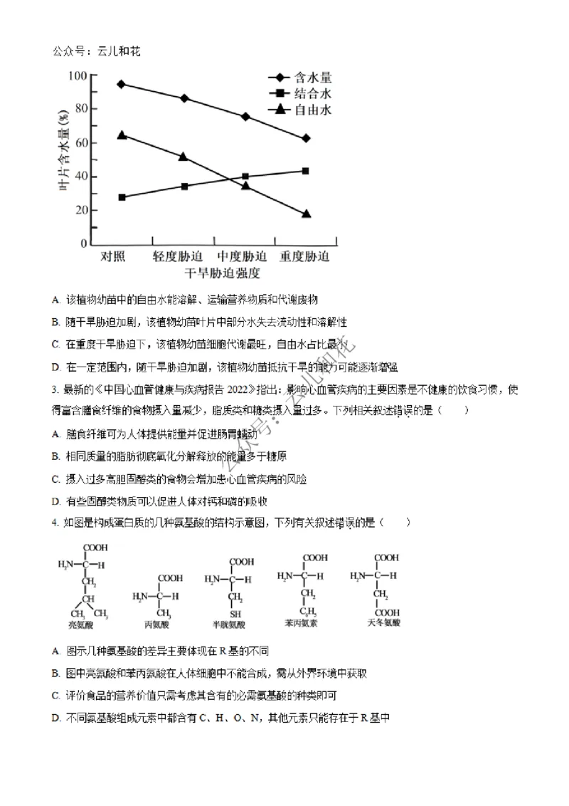 河北省沧州市四县联考2024-2025学年高一上学期11月月考生物试题Word版无答案_2024年12月试卷_1227河北省沧州四县联考2024-2025学年高一上学期11月月考