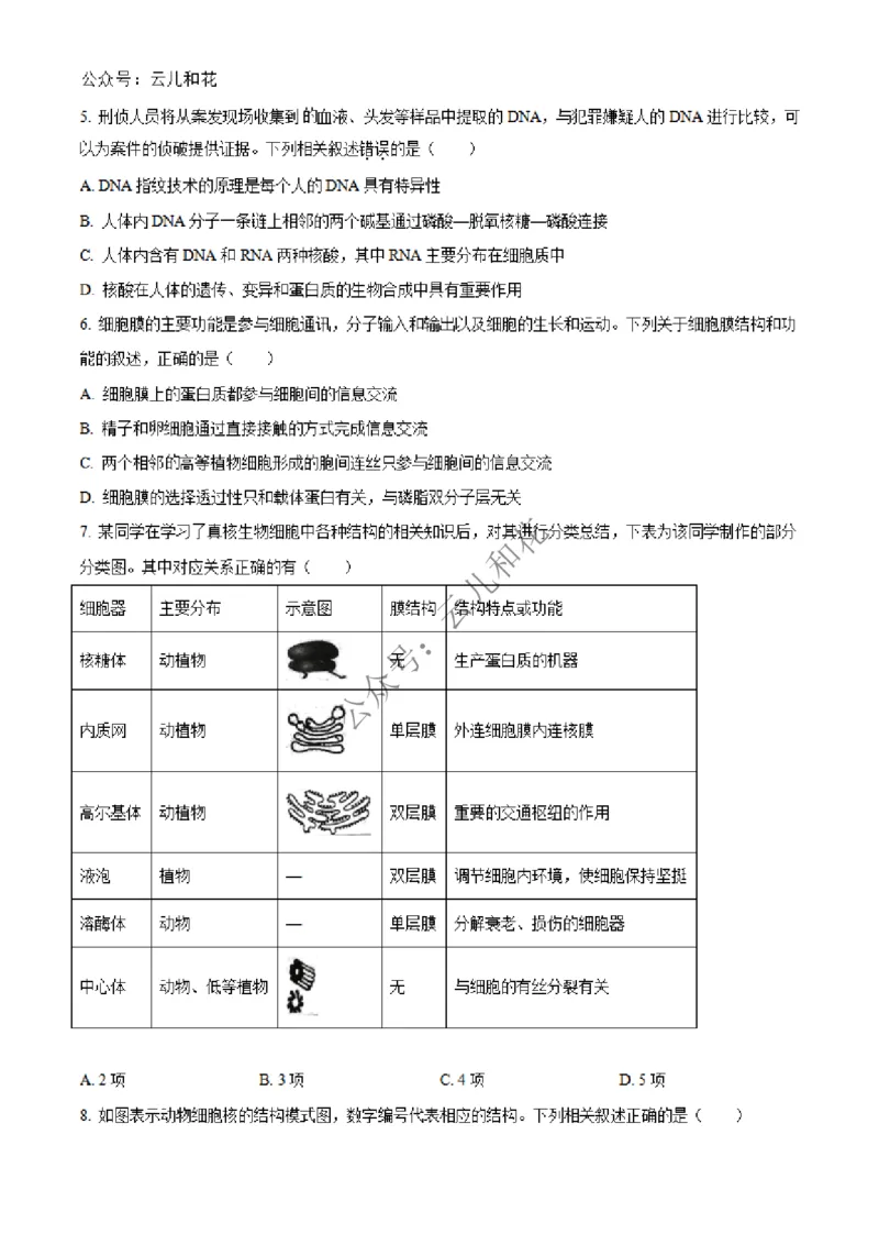 河北省沧州市四县联考2024-2025学年高一上学期11月月考生物试题Word版无答案_2024年12月试卷_1227河北省沧州四县联考2024-2025学年高一上学期11月月考