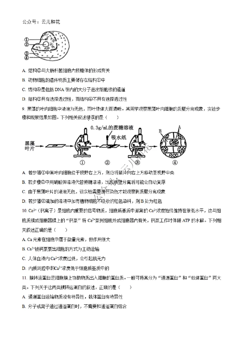 河北省沧州市四县联考2024-2025学年高一上学期11月月考生物试题Word版无答案_2024年12月试卷_1227河北省沧州四县联考2024-2025学年高一上学期11月月考