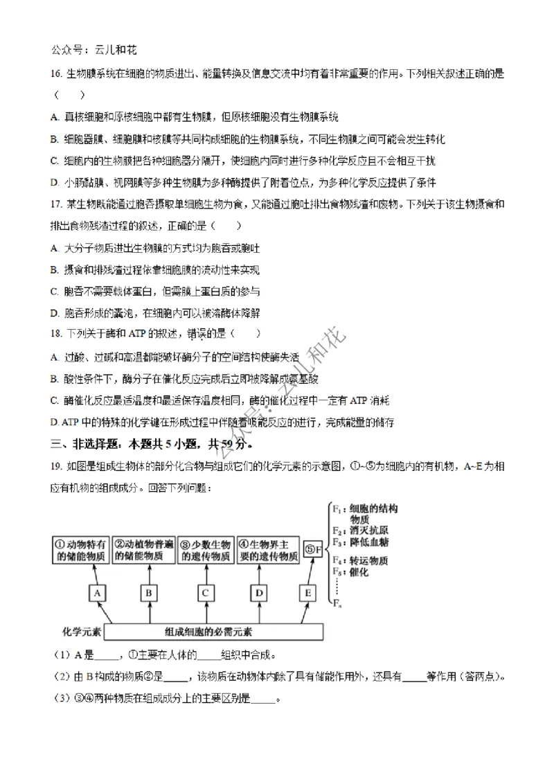 河北省沧州市四县联考2024-2025学年高一上学期11月月考生物试题Word版无答案_2024年12月试卷_1227河北省沧州四县联考2024-2025学年高一上学期11月月考