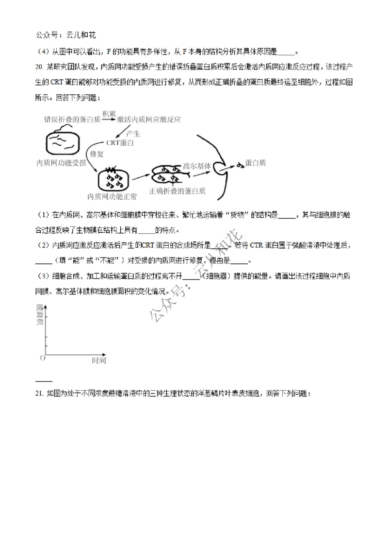 河北省沧州市四县联考2024-2025学年高一上学期11月月考生物试题Word版无答案_2024年12月试卷_1227河北省沧州四县联考2024-2025学年高一上学期11月月考