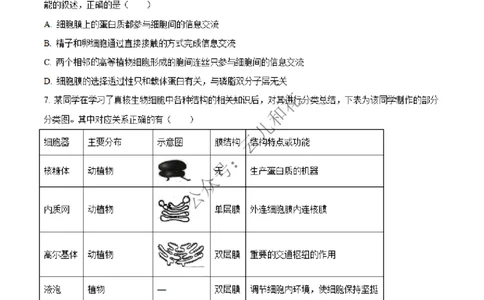 河北省沧州市四县联考2024-2025学年高一上学期11月月考生物试题Word版无答案_2024年12月试卷_1227河北省沧州四县联考2024-2025学年高一上学期11月月考