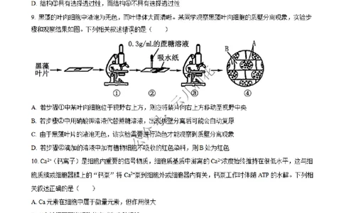 河北省沧州市四县联考2024-2025学年高一上学期11月月考生物试题Word版无答案_2024年12月试卷_1227河北省沧州四县联考2024-2025学年高一上学期11月月考