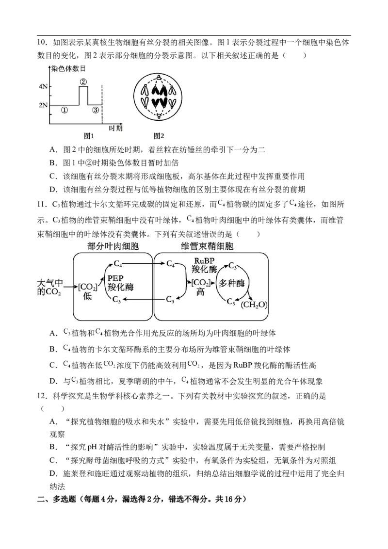 江西省上饶市弋、铅、横联考2024-2025学年高一下学期5月月考生物试卷_2025年05月试卷_0523江西省上饶市弋、铅、横联考2024-2025学年高一下学期5月月考