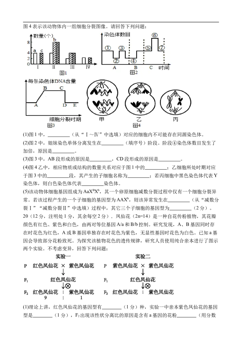 江西省上饶市弋、铅、横联考2024-2025学年高一下学期5月月考生物试卷_2025年05月试卷_0523江西省上饶市弋、铅、横联考2024-2025学年高一下学期5月月考