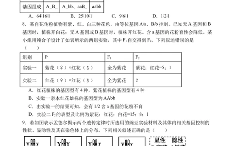 江西省上饶市弋、铅、横联考2024-2025学年高一下学期5月月考生物试卷_2025年05月试卷_0523江西省上饶市弋、铅、横联考2024-2025学年高一下学期5月月考