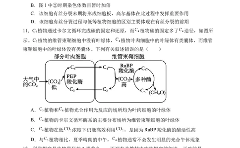江西省上饶市弋、铅、横联考2024-2025学年高一下学期5月月考生物试卷_2025年05月试卷_0523江西省上饶市弋、铅、横联考2024-2025学年高一下学期5月月考