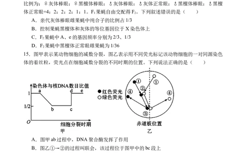 江西省上饶市弋、铅、横联考2024-2025学年高一下学期5月月考生物试卷_2025年05月试卷_0523江西省上饶市弋、铅、横联考2024-2025学年高一下学期5月月考