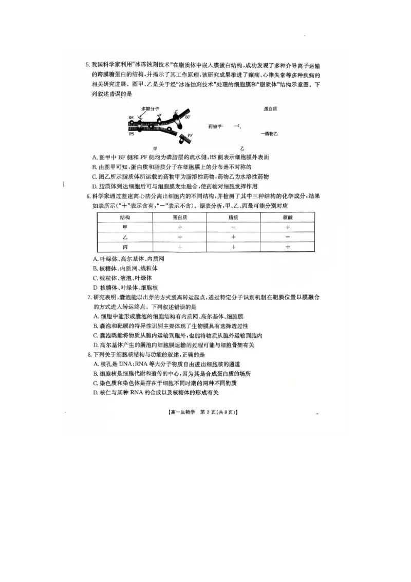 河北省邢台市卓越联盟2025-2026学年高一上学期第三次月考生物试题_2026年01月高一试卷_260113河北省邢台市卓越联盟2025-2026学年高一上学期1月月考（全）