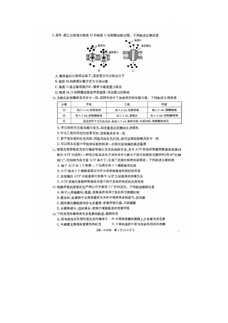 河北省邢台市卓越联盟2025-2026学年高一上学期第三次月考生物试题_2026年01月高一试卷_260113河北省邢台市卓越联盟2025-2026学年高一上学期1月月考（全）