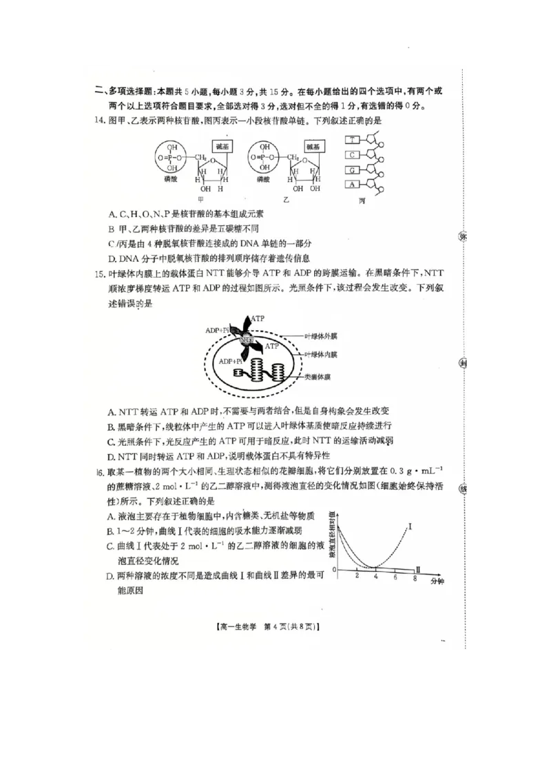 河北省邢台市卓越联盟2025-2026学年高一上学期第三次月考生物试题_2026年01月高一试卷_260113河北省邢台市卓越联盟2025-2026学年高一上学期1月月考（全）