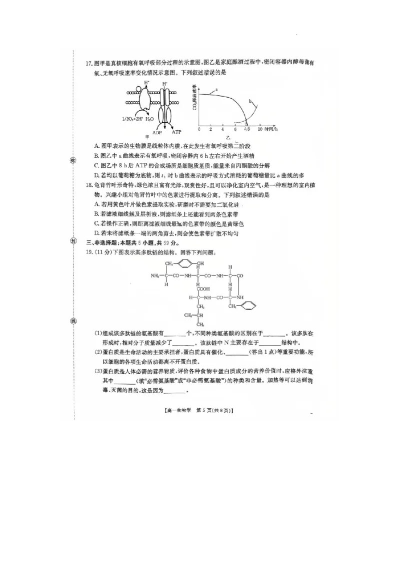 河北省邢台市卓越联盟2025-2026学年高一上学期第三次月考生物试题_2026年01月高一试卷_260113河北省邢台市卓越联盟2025-2026学年高一上学期1月月考（全）