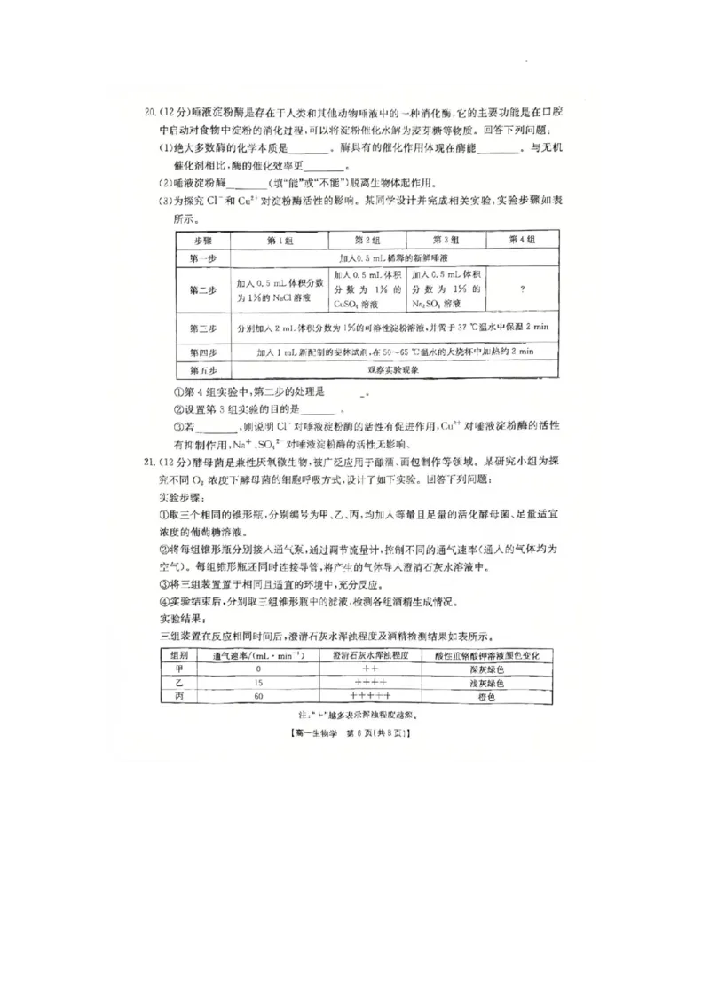 河北省邢台市卓越联盟2025-2026学年高一上学期第三次月考生物试题_2026年01月高一试卷_260113河北省邢台市卓越联盟2025-2026学年高一上学期1月月考（全）