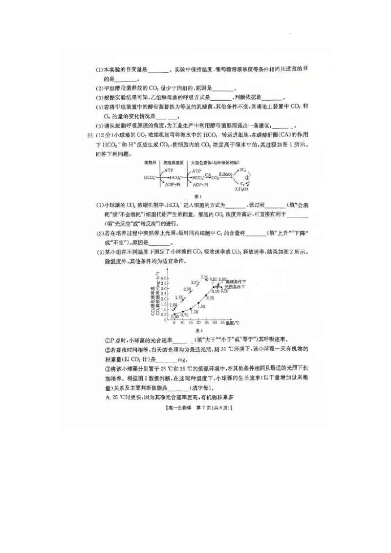 河北省邢台市卓越联盟2025-2026学年高一上学期第三次月考生物试题_2026年01月高一试卷_260113河北省邢台市卓越联盟2025-2026学年高一上学期1月月考（全）