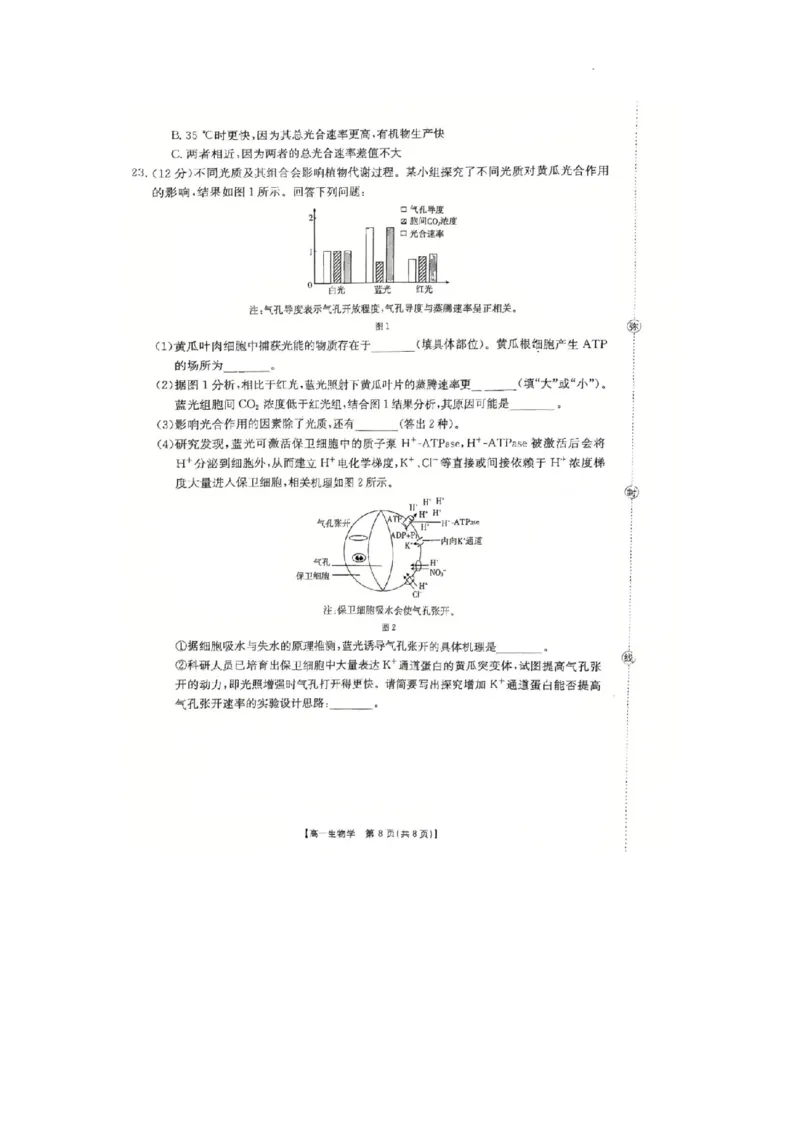 河北省邢台市卓越联盟2025-2026学年高一上学期第三次月考生物试题_2026年01月高一试卷_260113河北省邢台市卓越联盟2025-2026学年高一上学期1月月考（全）