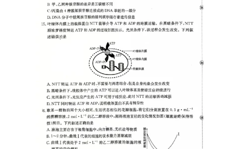 河北省邢台市卓越联盟2025-2026学年高一上学期第三次月考生物试题_2026年01月高一试卷_260113河北省邢台市卓越联盟2025-2026学年高一上学期1月月考（全）