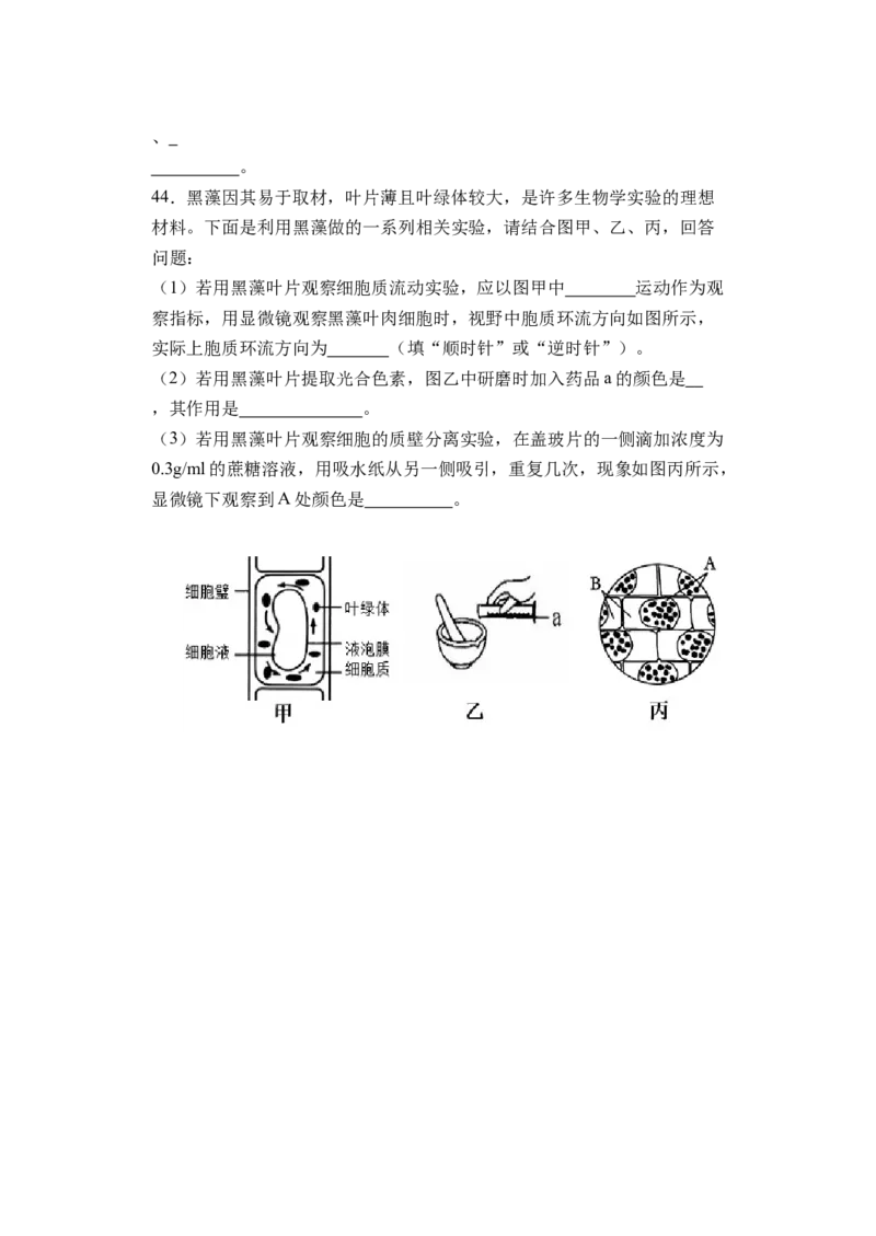 江苏省盐城市五校联盟2025-2026学年高一上学期12月月考生物试题_2026年01月高一试卷_260104江苏省盐城市五校联盟2025-2026学年高一上学期12月月考（全）