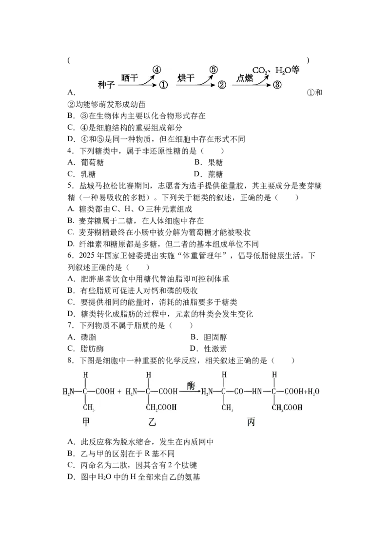 江苏省盐城市五校联盟2025-2026学年高一上学期12月月考生物试题_2026年01月高一试卷_260104江苏省盐城市五校联盟2025-2026学年高一上学期12月月考（全）