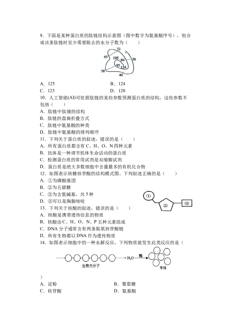 江苏省盐城市五校联盟2025-2026学年高一上学期12月月考生物试题_2026年01月高一试卷_260104江苏省盐城市五校联盟2025-2026学年高一上学期12月月考（全）
