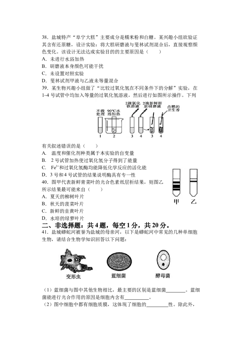 江苏省盐城市五校联盟2025-2026学年高一上学期12月月考生物试题_2026年01月高一试卷_260104江苏省盐城市五校联盟2025-2026学年高一上学期12月月考（全）