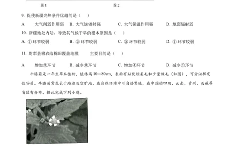 河北省邢台市2024-2025学年高一上学期1月期末地理试题Word版无答案_2025年03月试卷_0320河北省邢台市2024-2025学年高一上学期期末考试