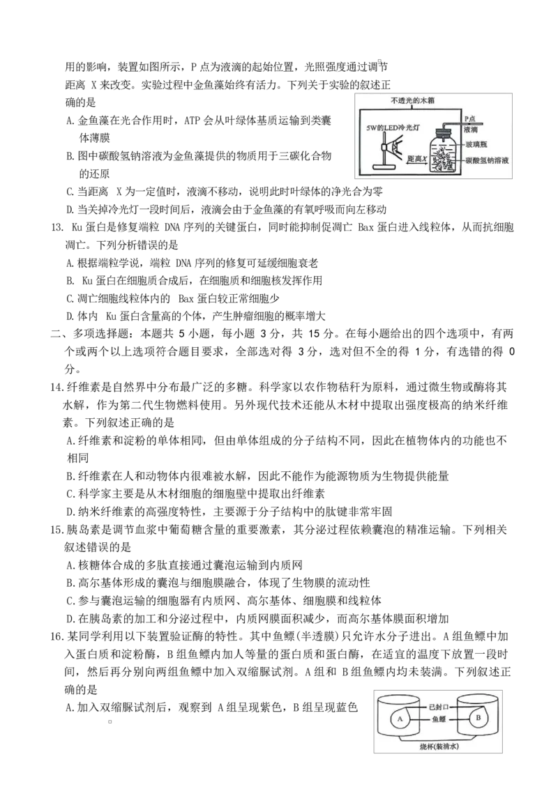 河北省保定市六校联考2025-2026学年高一上学期1月期末考试生物试题_2026年02月高一试卷_260202河北省保定市六校2025-2026学年高一上学期1月期末考试（全）