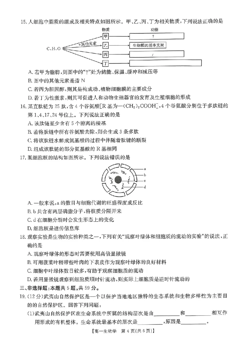 河北省唐山市部分学校2024-2025学年高一上学期11月期中联考生物试卷_2024年12月试卷_1217河北省唐山市2024-2025学年高一上学期11月期中考试