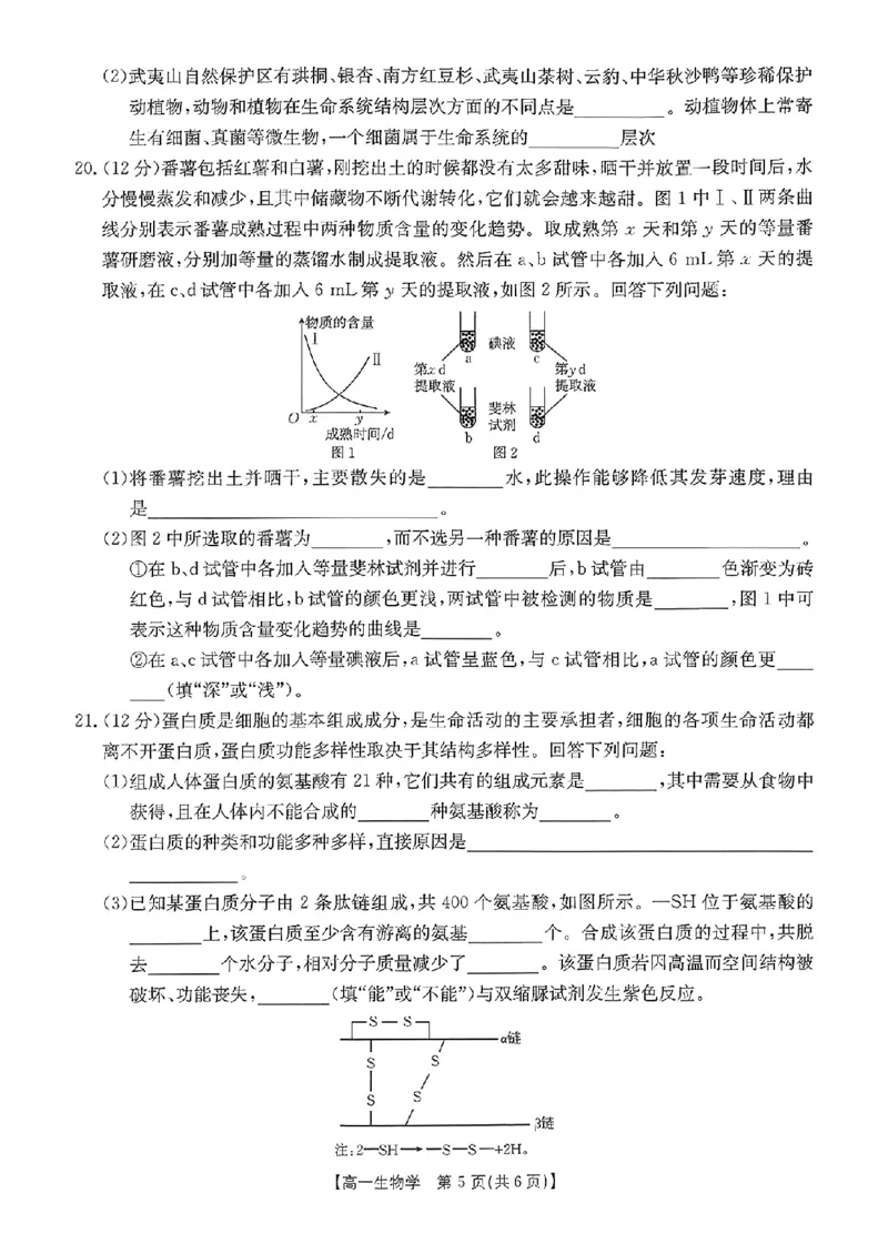 河北省唐山市部分学校2024-2025学年高一上学期11月期中联考生物试卷_2024年12月试卷_1217河北省唐山市2024-2025学年高一上学期11月期中考试