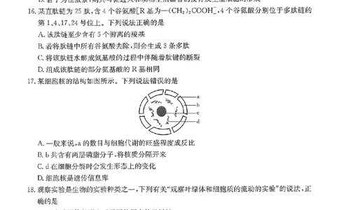 河北省唐山市部分学校2024-2025学年高一上学期11月期中联考生物试卷_2024年12月试卷_1217河北省唐山市2024-2025学年高一上学期11月期中考试