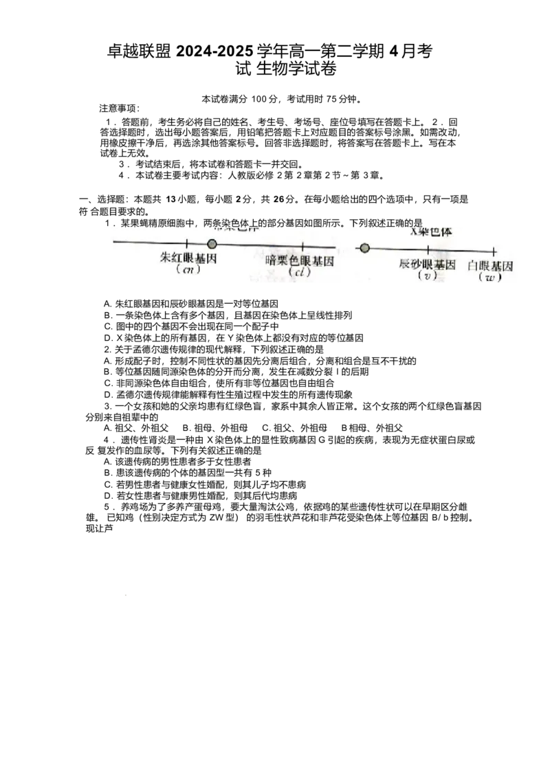 河北省邢台市卓越联盟2024-2025学年高一下学期4月月考生物试卷_2025年05月试卷_0524河北省邢台市卓越联盟2024-2025学年高一下学期期中考试