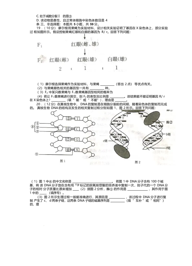河北省邢台市卓越联盟2024-2025学年高一下学期4月月考生物试卷_2025年05月试卷_0524河北省邢台市卓越联盟2024-2025学年高一下学期期中考试