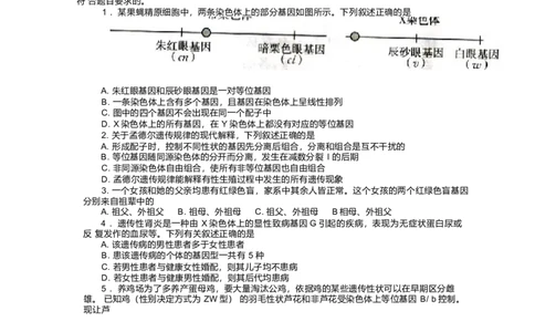 河北省邢台市卓越联盟2024-2025学年高一下学期4月月考生物试卷_2025年05月试卷_0524河北省邢台市卓越联盟2024-2025学年高一下学期期中考试