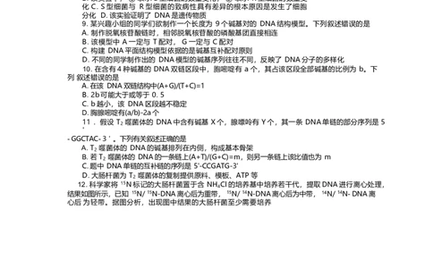 河北省邢台市卓越联盟2024-2025学年高一下学期4月月考生物试卷_2025年05月试卷_0524河北省邢台市卓越联盟2024-2025学年高一下学期期中考试