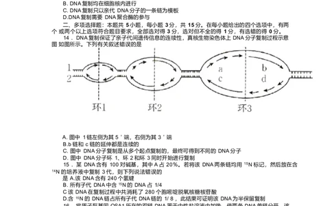 河北省邢台市卓越联盟2024-2025学年高一下学期4月月考生物试卷_2025年05月试卷_0524河北省邢台市卓越联盟2024-2025学年高一下学期期中考试