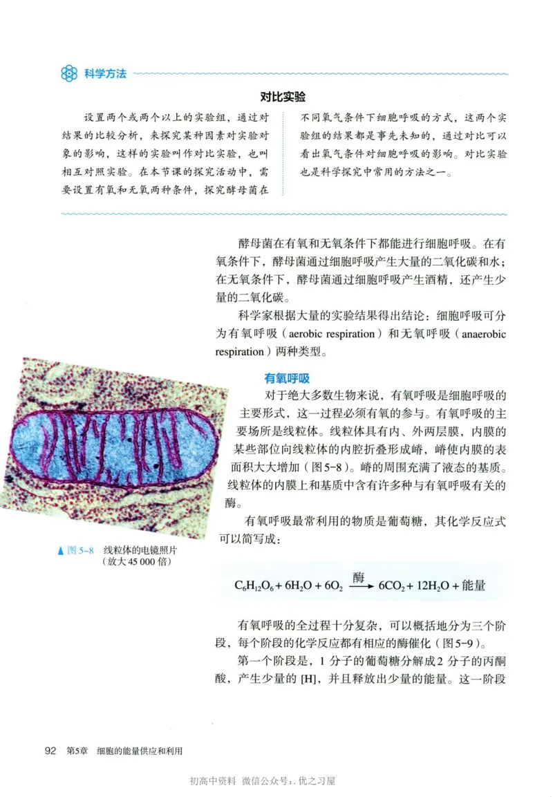 1新人教版高中生物必修1《分子与细胞》_高中三年全科资料_高中各科课本电子教材_06高中生物课本_人教版-生物课本