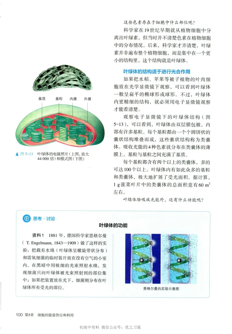 1新人教版高中生物必修1《分子与细胞》_高中三年全科资料_高中各科课本电子教材_06高中生物课本_人教版-生物课本