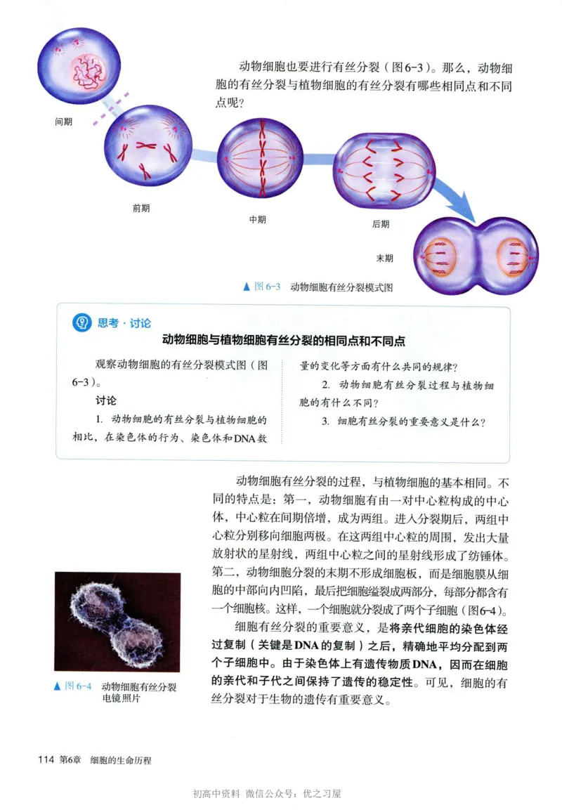 1新人教版高中生物必修1《分子与细胞》_高中三年全科资料_高中各科课本电子教材_06高中生物课本_人教版-生物课本