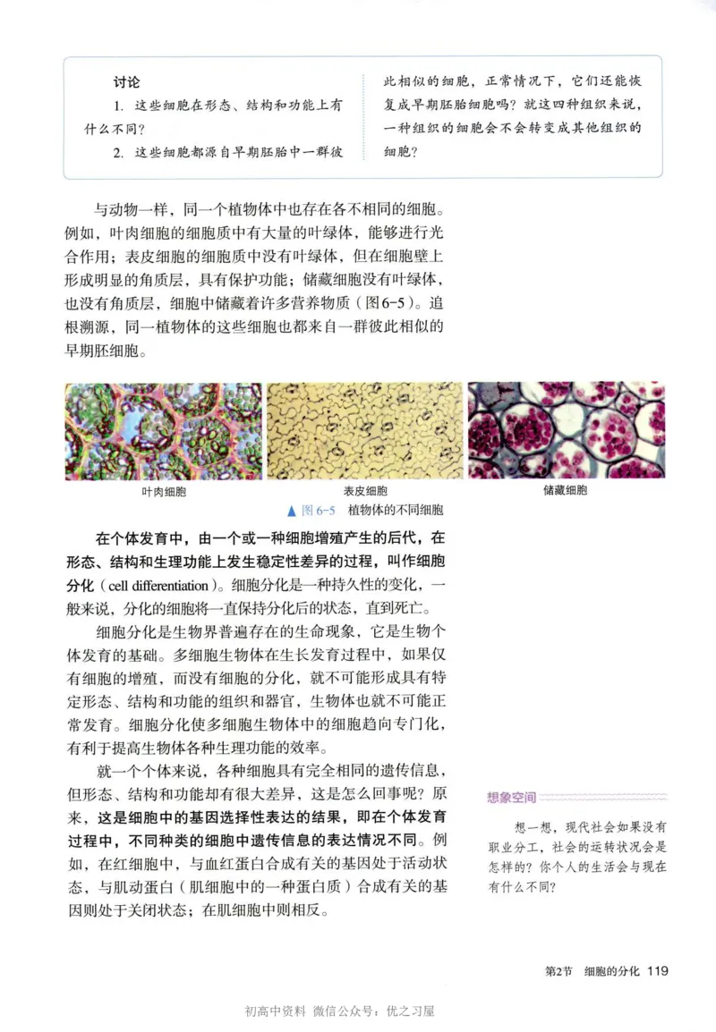 1新人教版高中生物必修1《分子与细胞》_高中三年全科资料_高中各科课本电子教材_06高中生物课本_人教版-生物课本