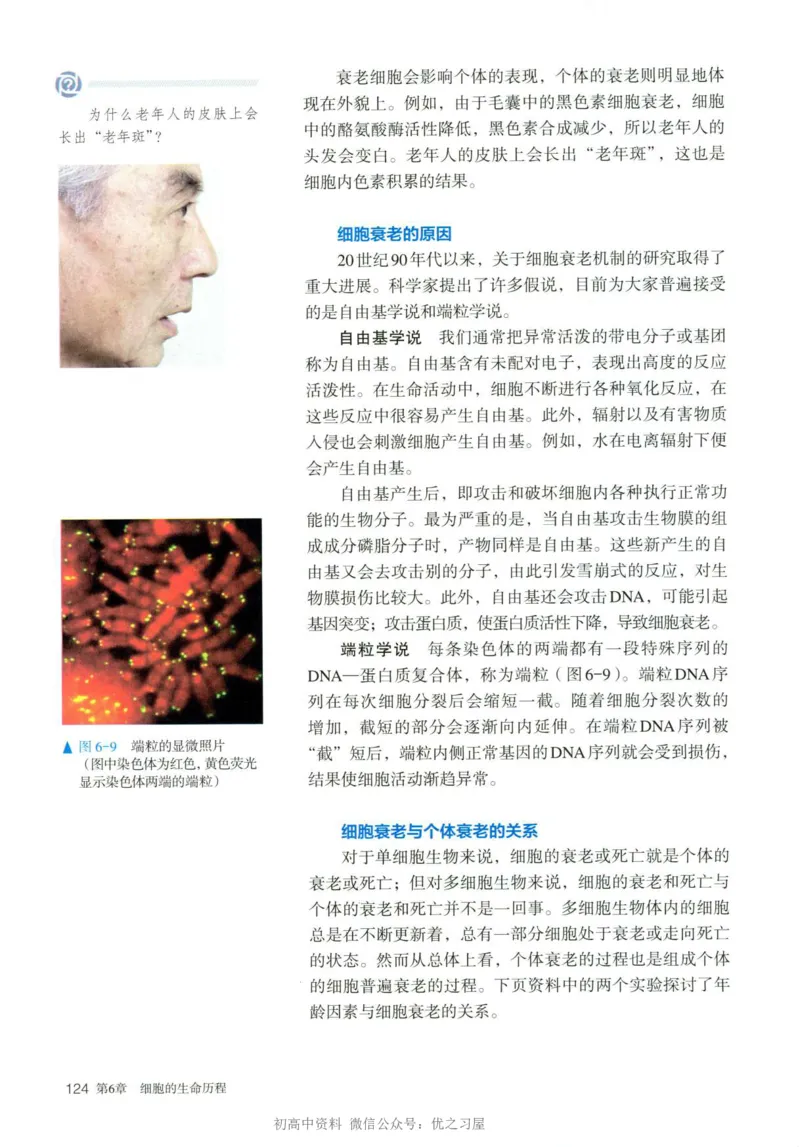 1新人教版高中生物必修1《分子与细胞》_高中三年全科资料_高中各科课本电子教材_06高中生物课本_人教版-生物课本
