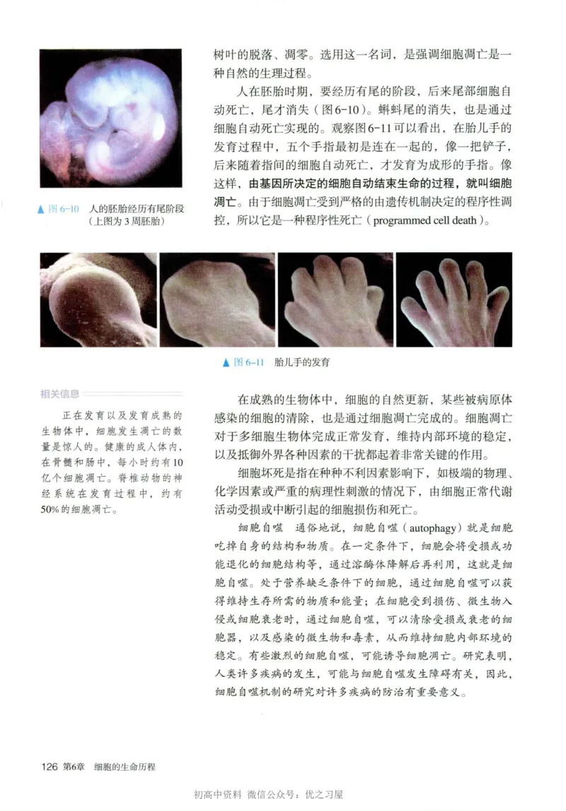 1新人教版高中生物必修1《分子与细胞》_高中三年全科资料_高中各科课本电子教材_06高中生物课本_人教版-生物课本