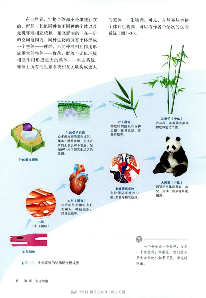 1新人教版高中生物必修1《分子与细胞》_高中三年全科资料_高中各科课本电子教材_06高中生物课本_人教版-生物课本